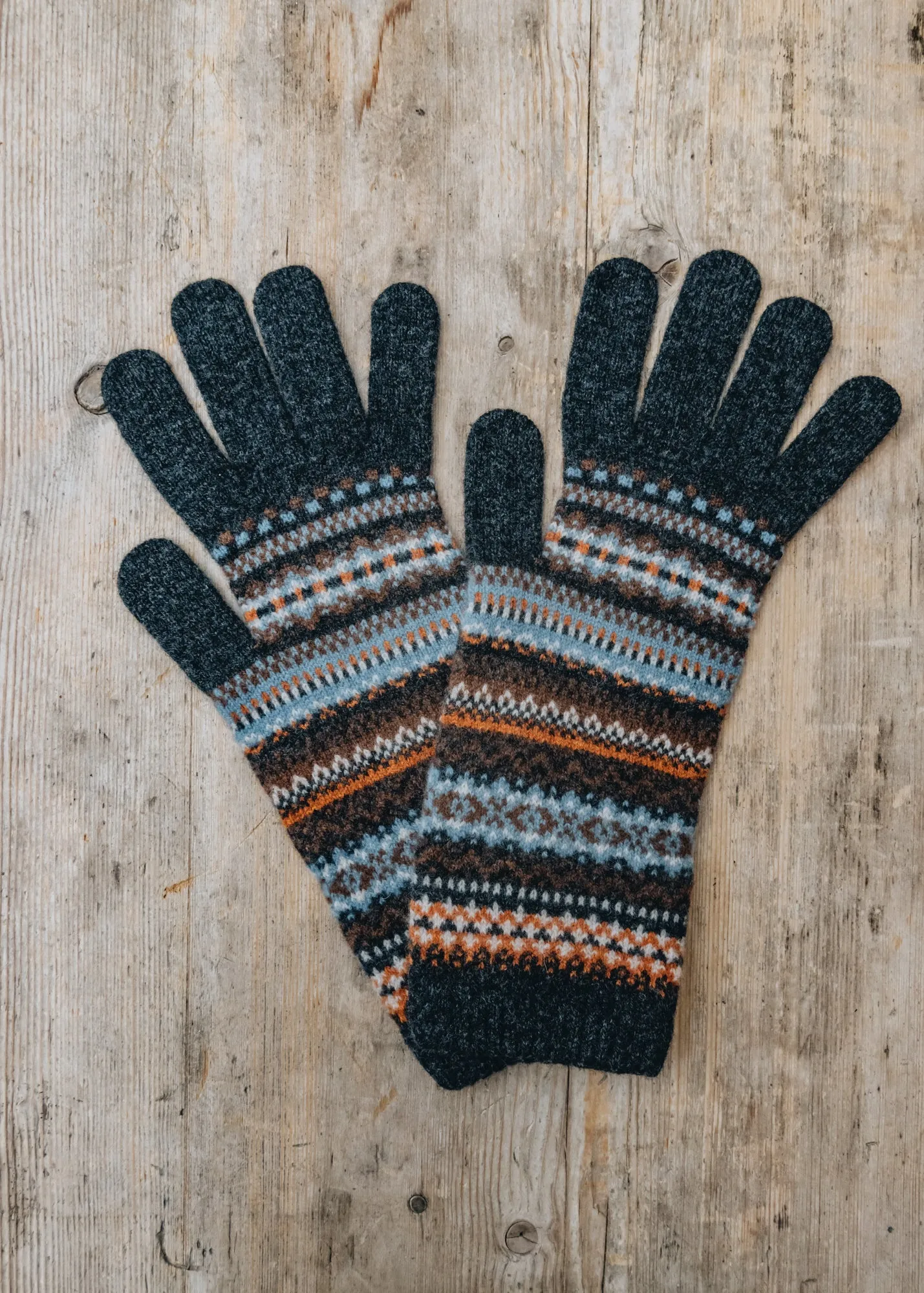 Alpine Gloves in Winter