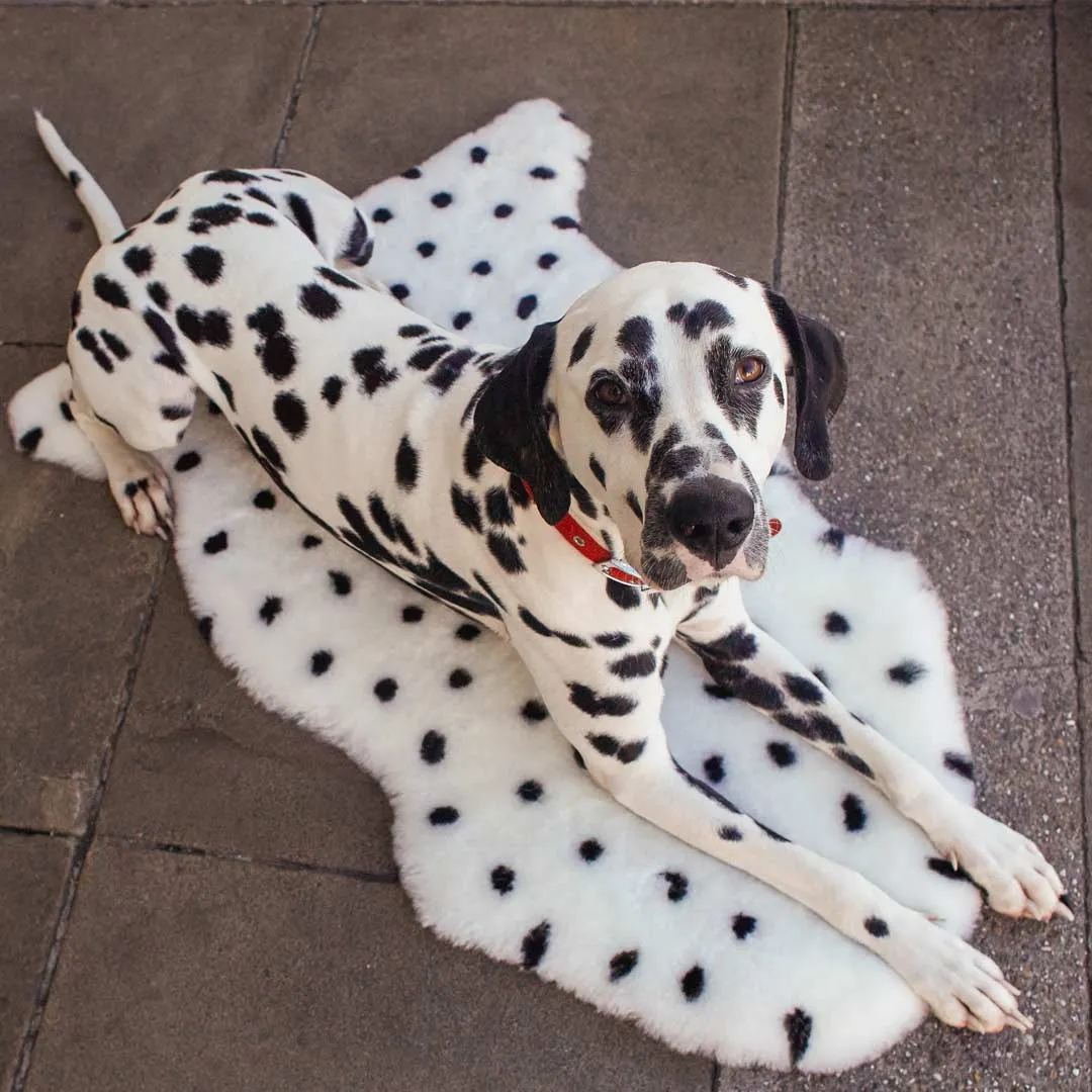 BINIBAMBA Merino Sheepskin Wrigglemat - Dalmatian Dove