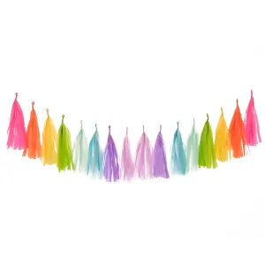 Rainbow Bright Tassel Garland