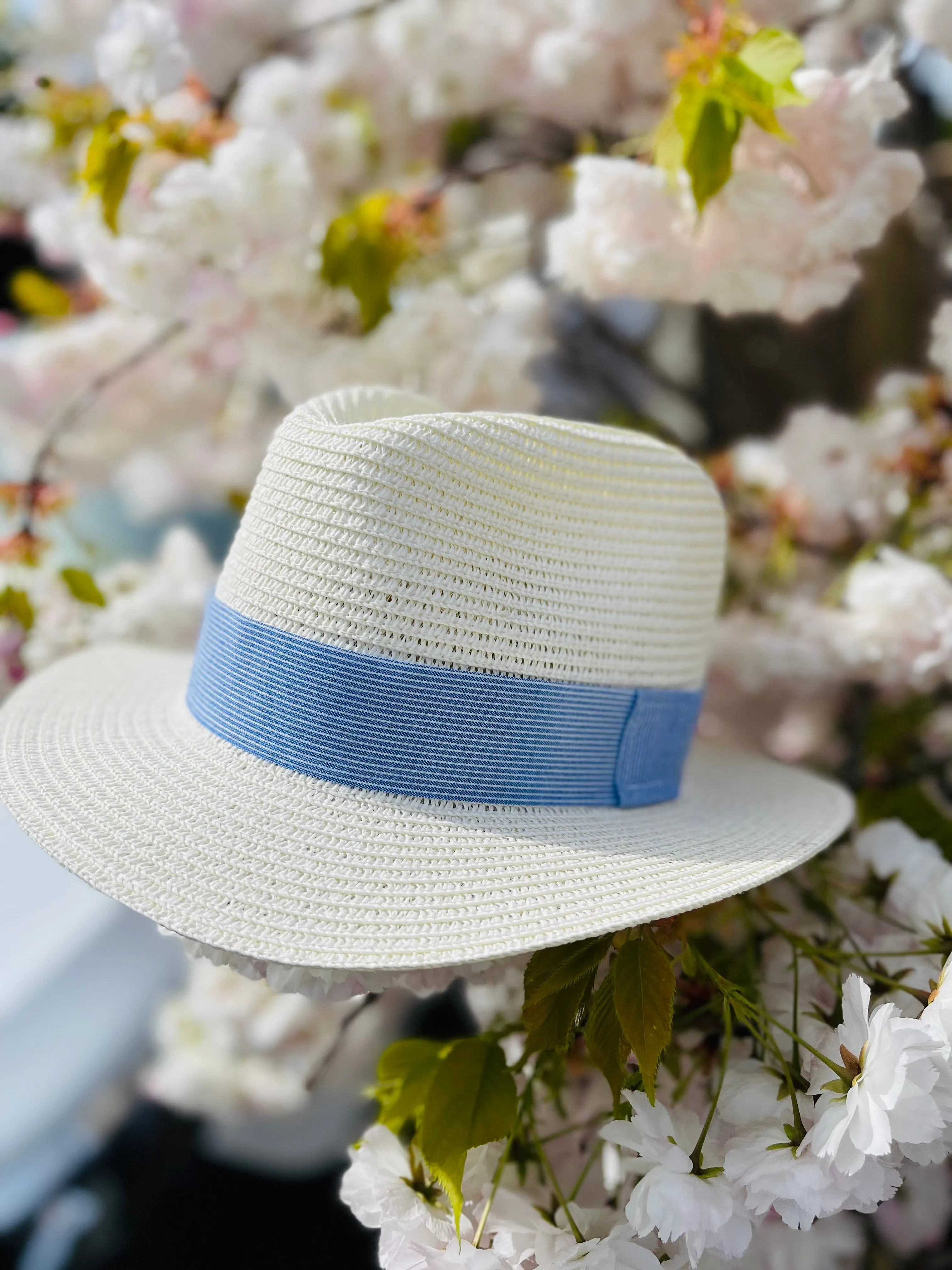 Straw fedora with blue linen stripe