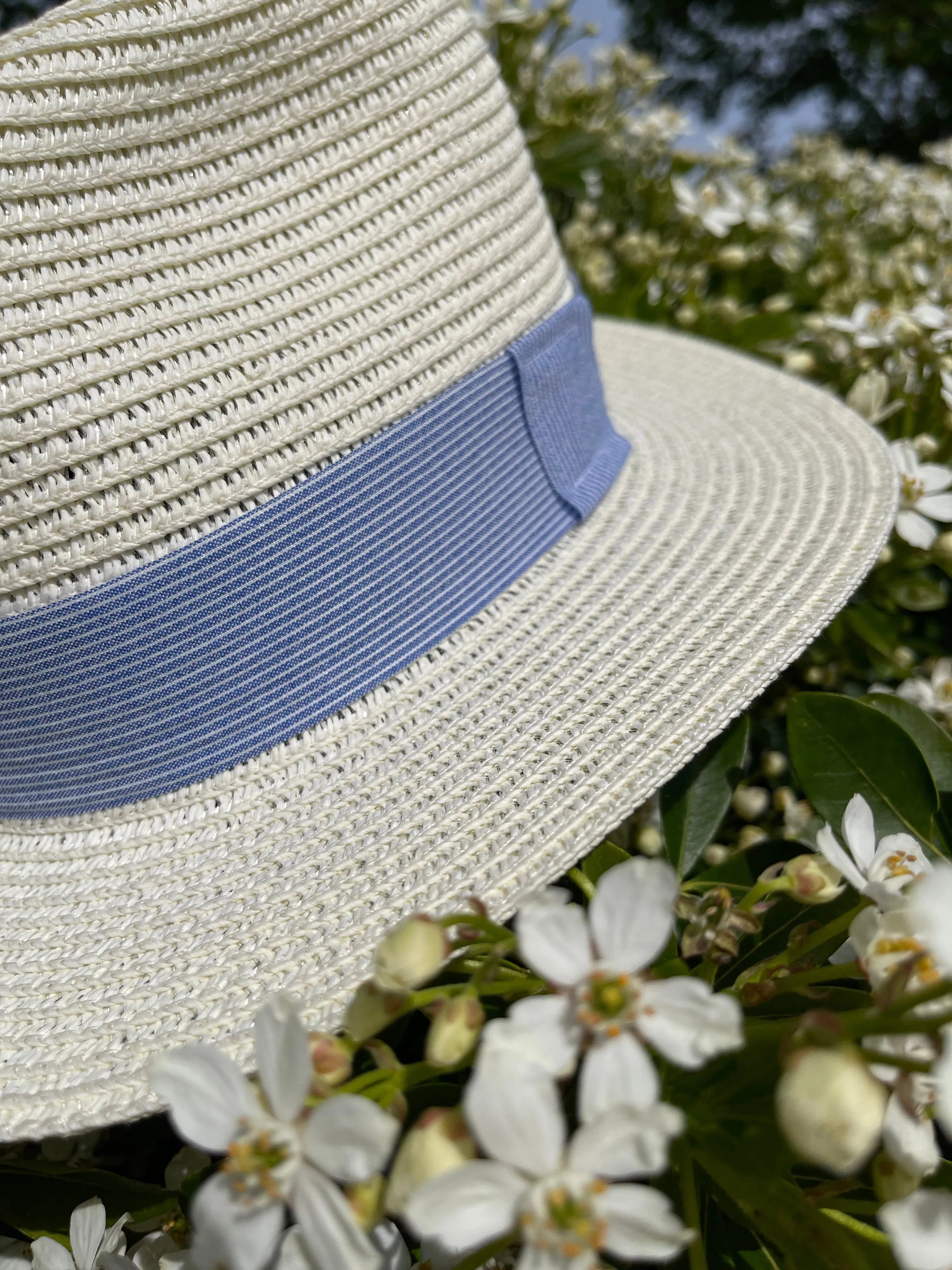 Straw fedora with blue linen stripe