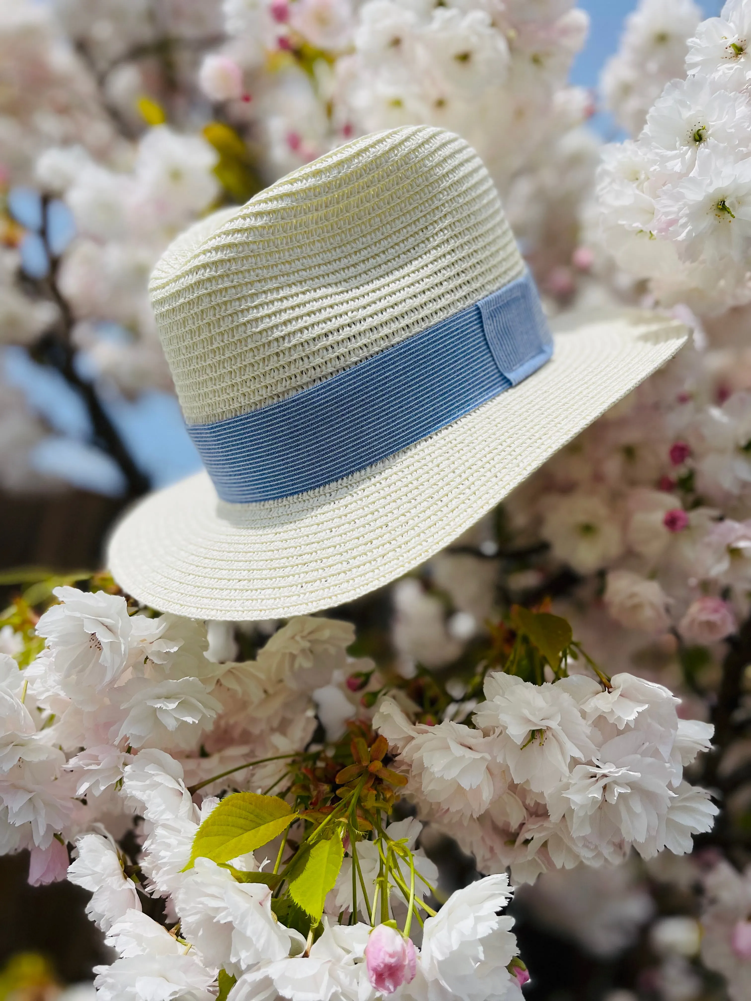 Straw fedora with blue linen stripe