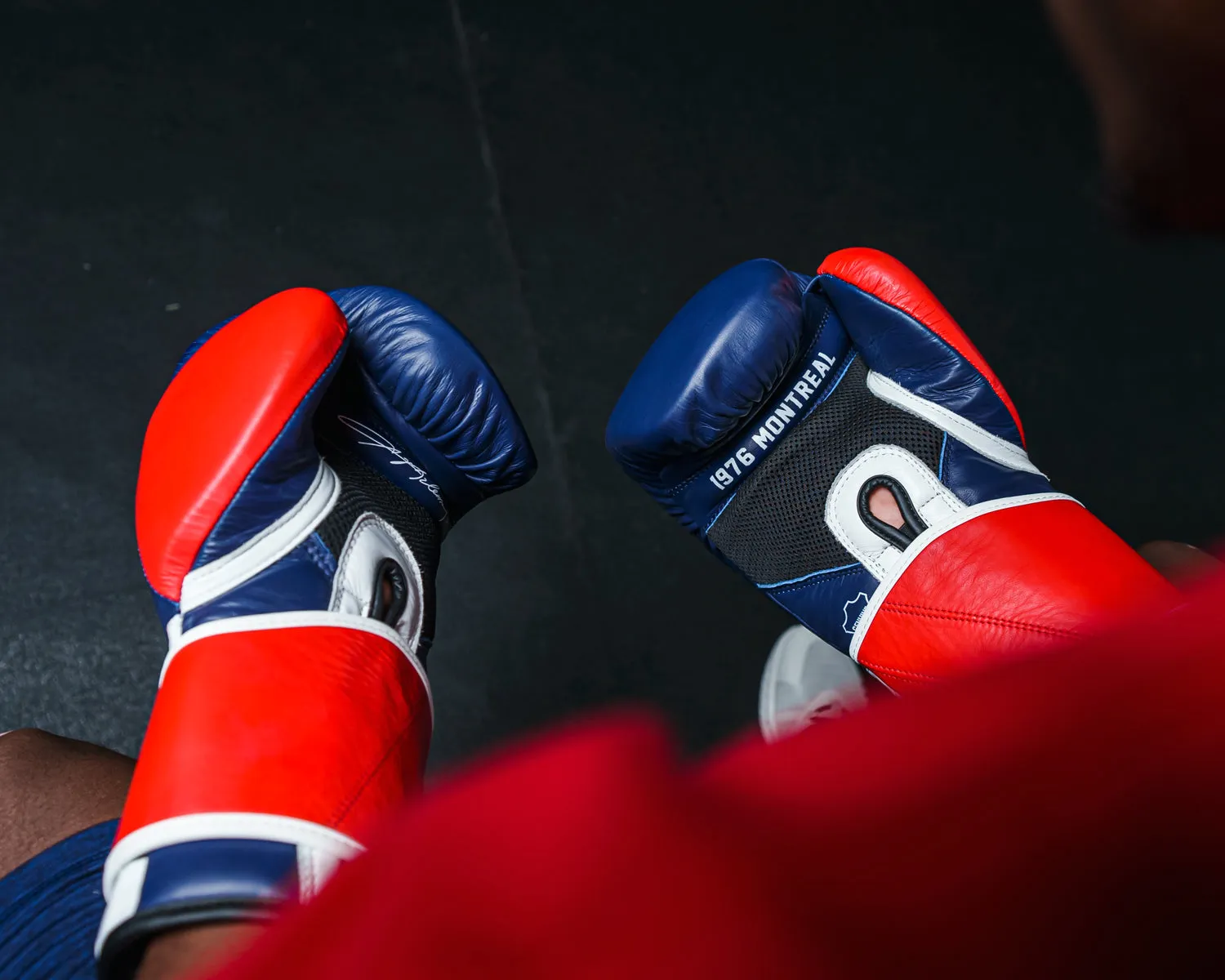 TITLE Boxing Sugar Ray Leonard 1976 Montreal Special Edition Leather Training Gloves